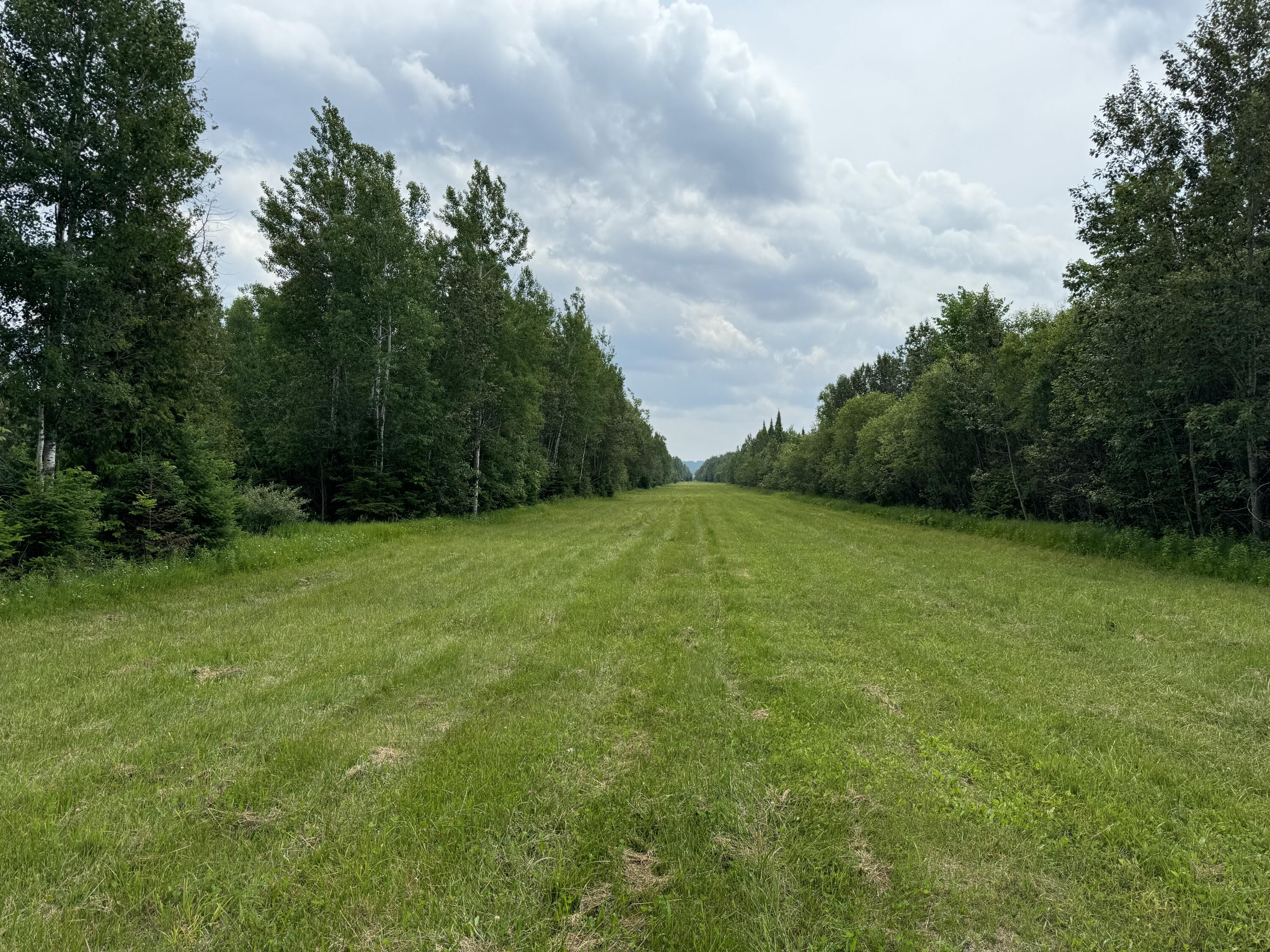5030 Snider Road Brutus, MI 49716 - Photo 3 of 53 IMG_9645