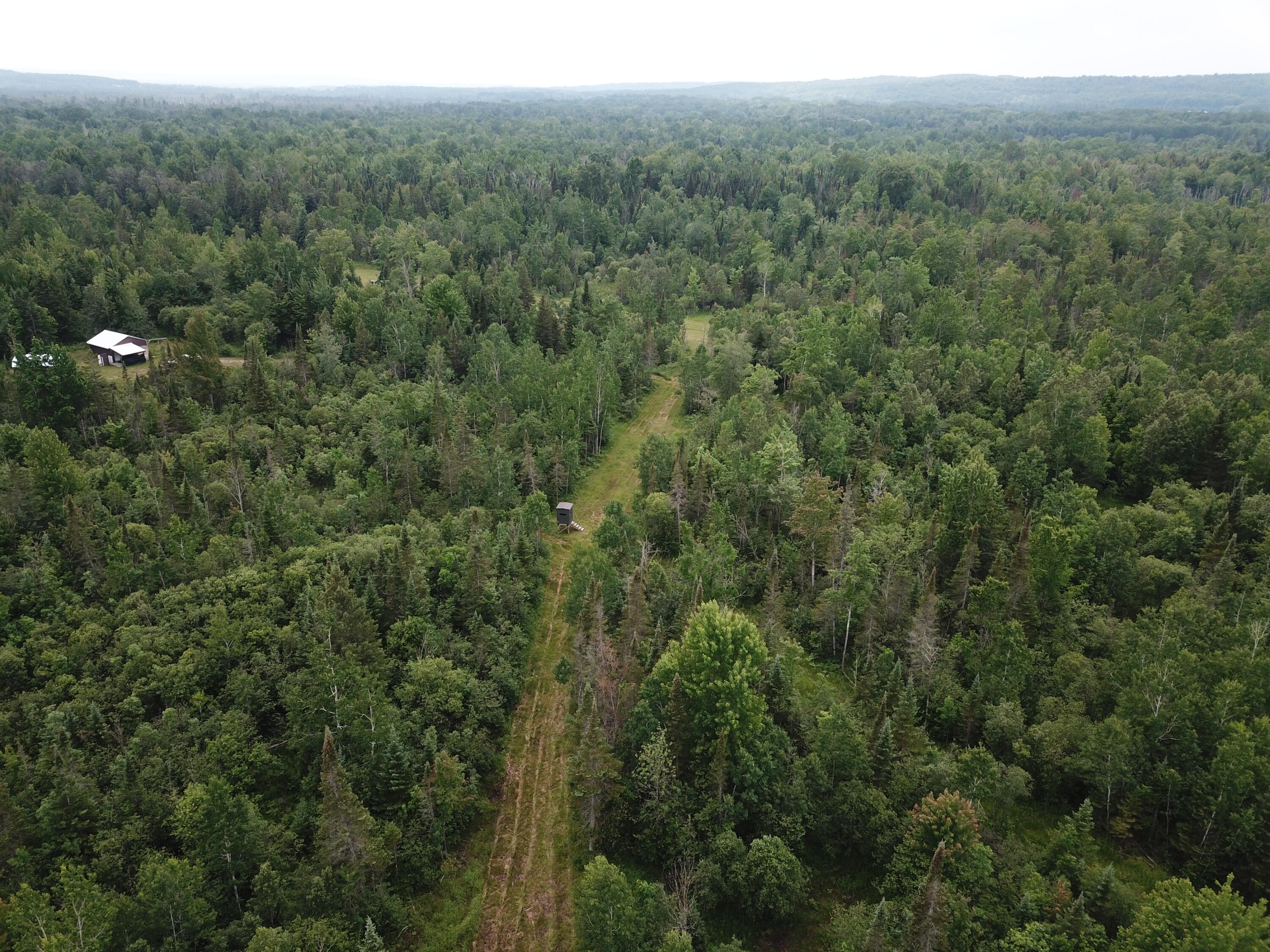 5030 Snider Road Brutus, MI 49716 - Photo 31 of 53 DJI_0019