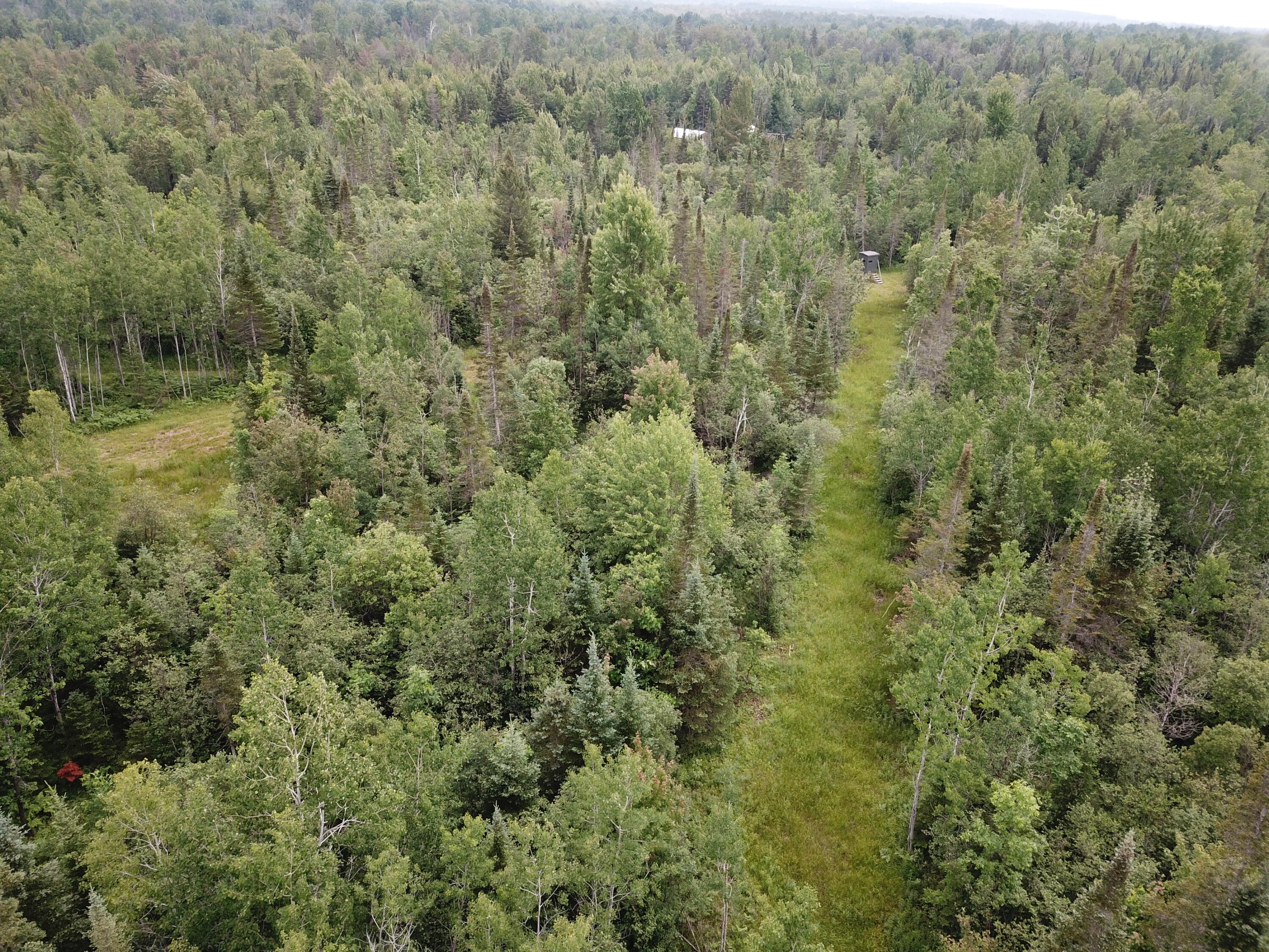 5030 Snider Road Brutus, MI 49716 - Photo 32 of 53 DJI_0020