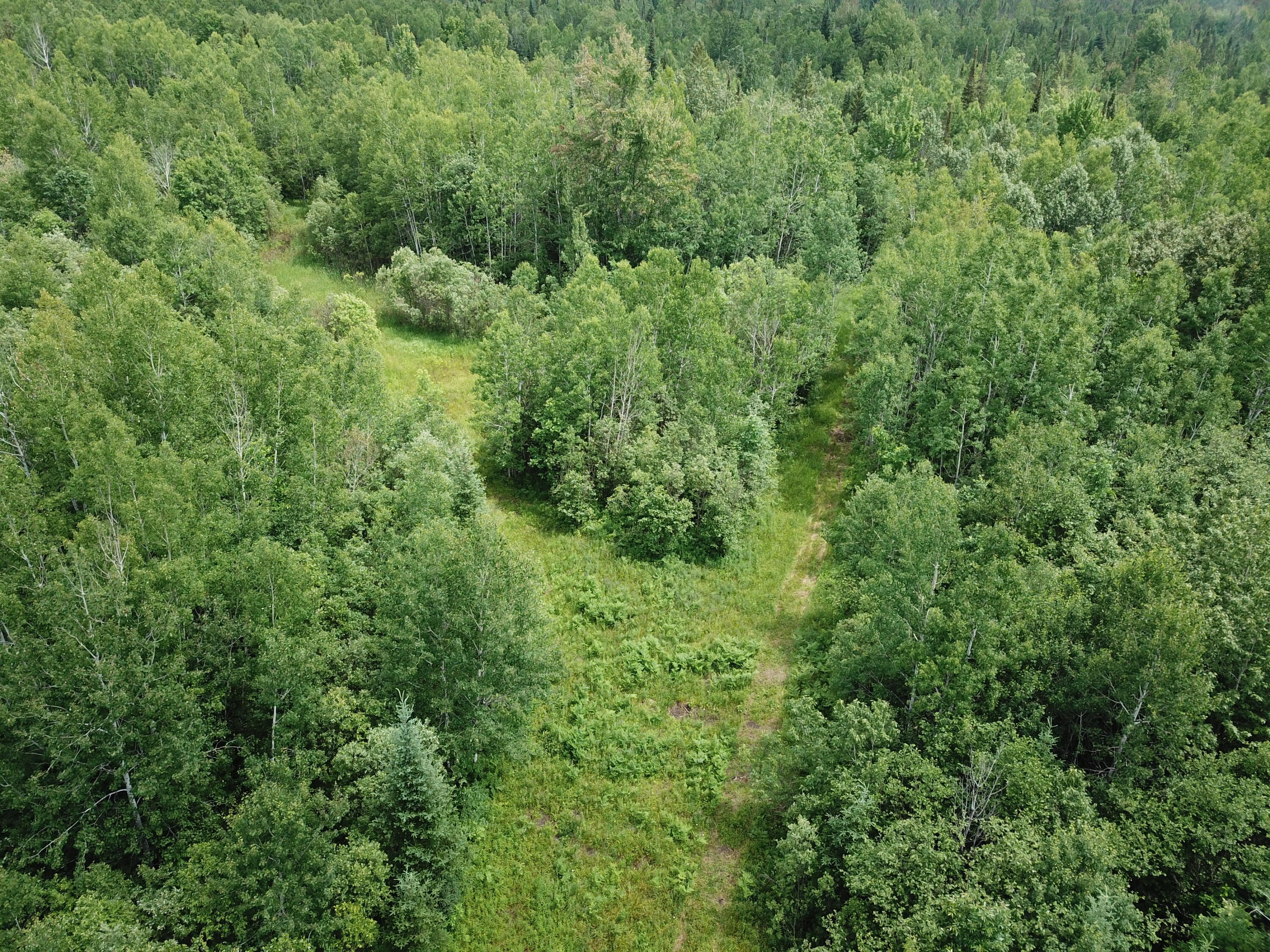 5030 Snider Road Brutus, MI 49716 - Photo 34 of 53 DJI_0023