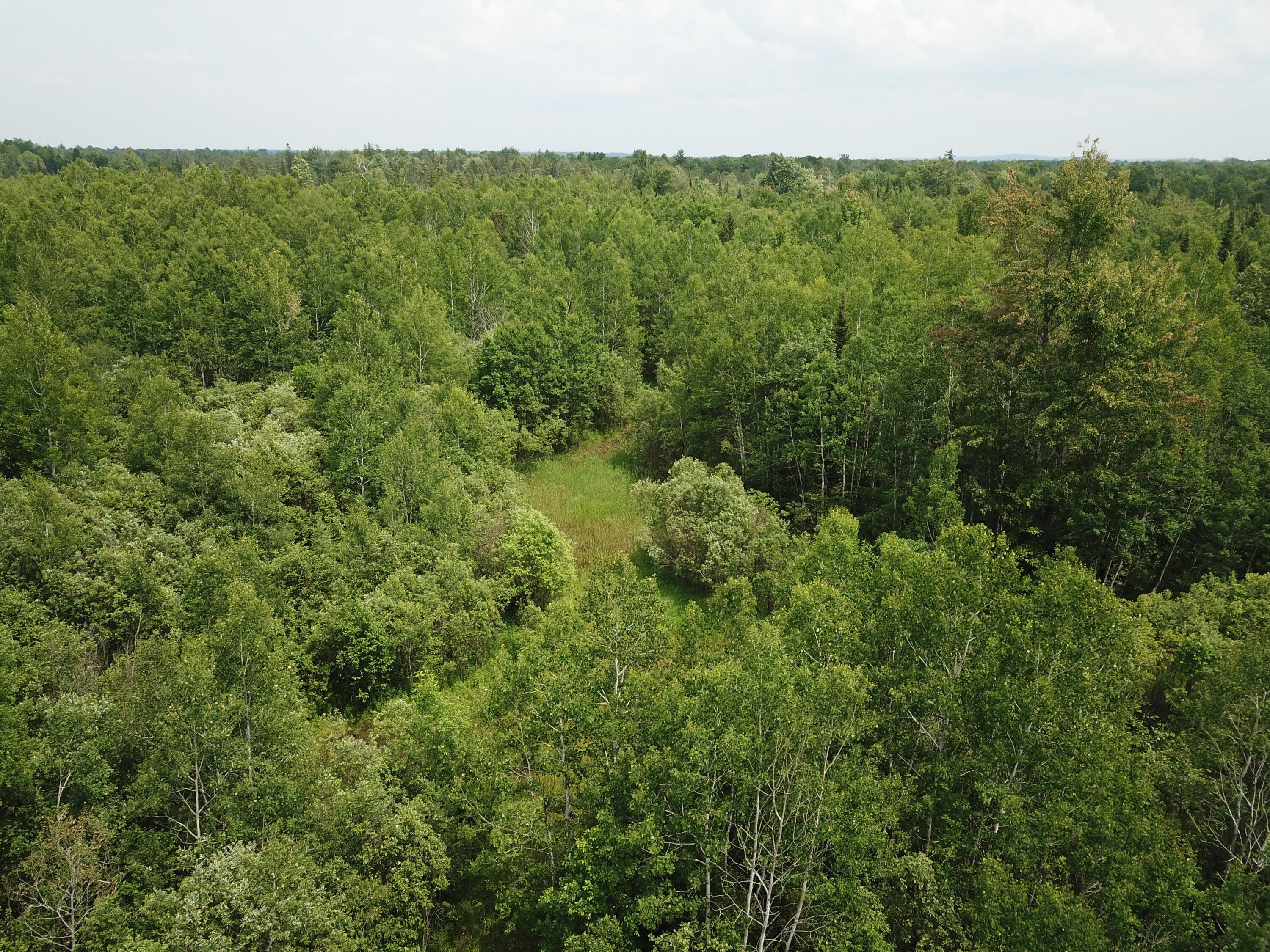 5030 Snider Road Brutus, MI 49716 - Photo 35 of 53 DJI_0024