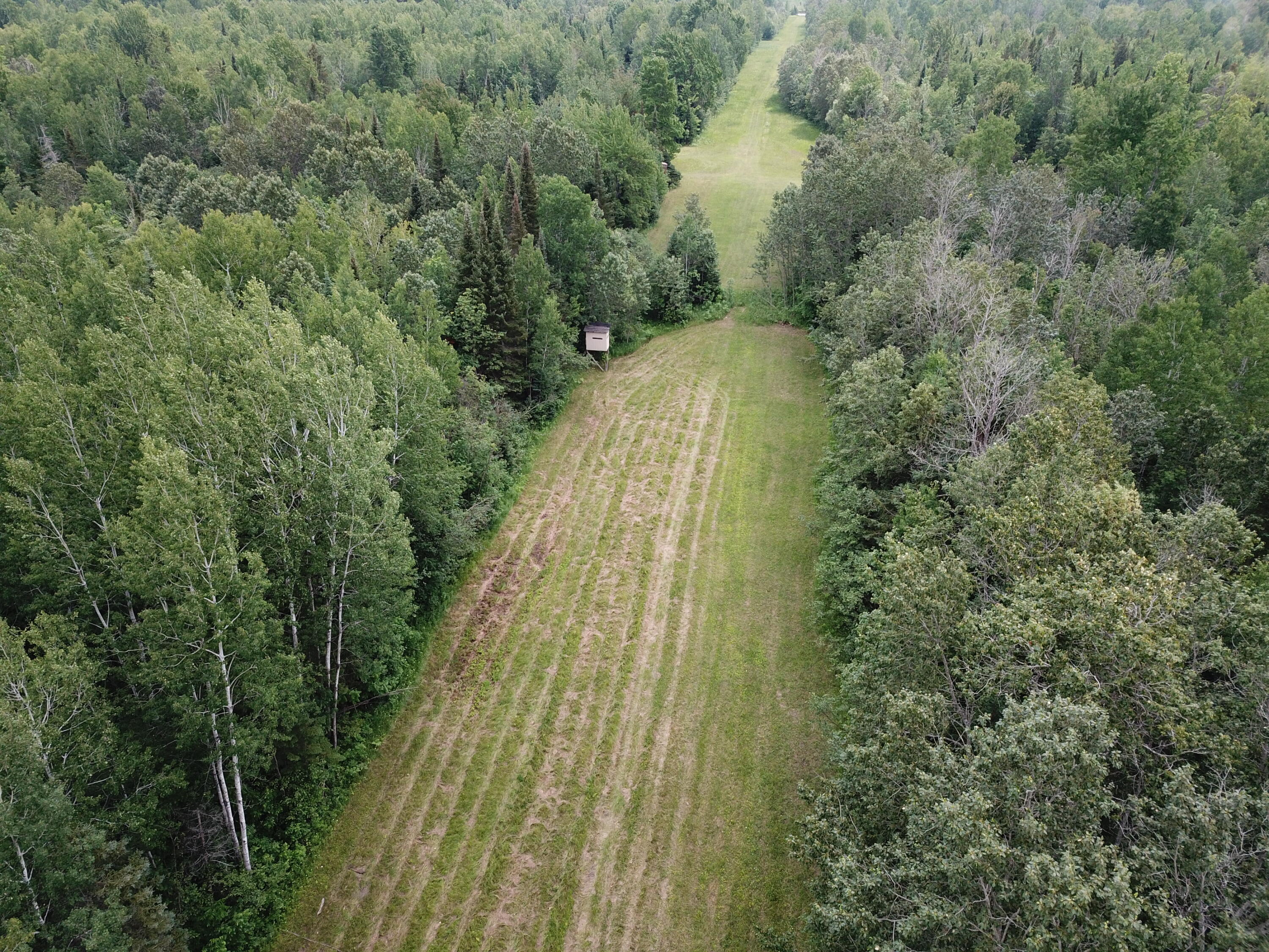 5030 Snider Road Brutus, MI 49716 - Photo 39 of 53 DJI_0029