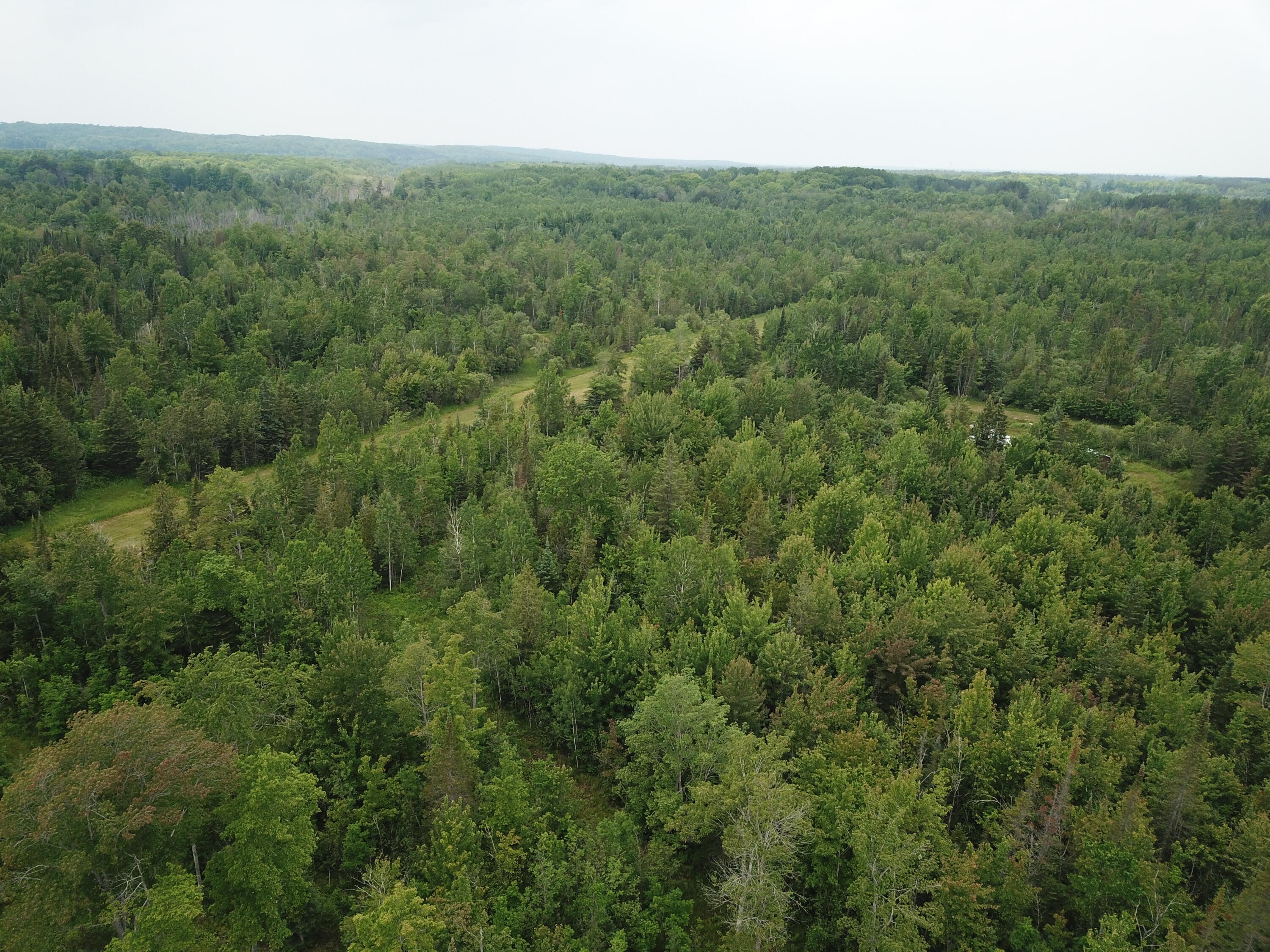 5030 Snider Road Brutus, MI 49716 - Photo 41 of 53 DJI_0031