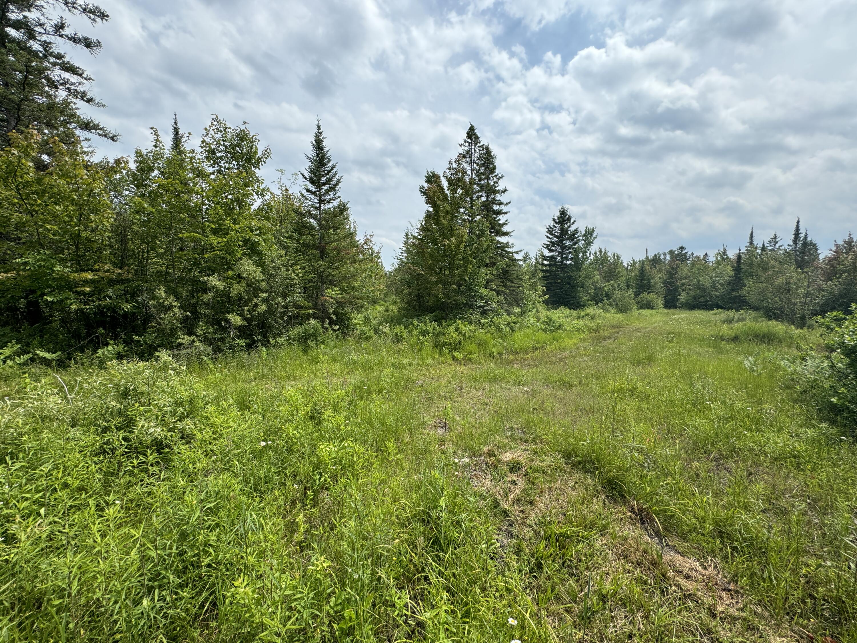 5030 Snider Road Brutus, MI 49716 - Photo 51 of 53 IMG_9670