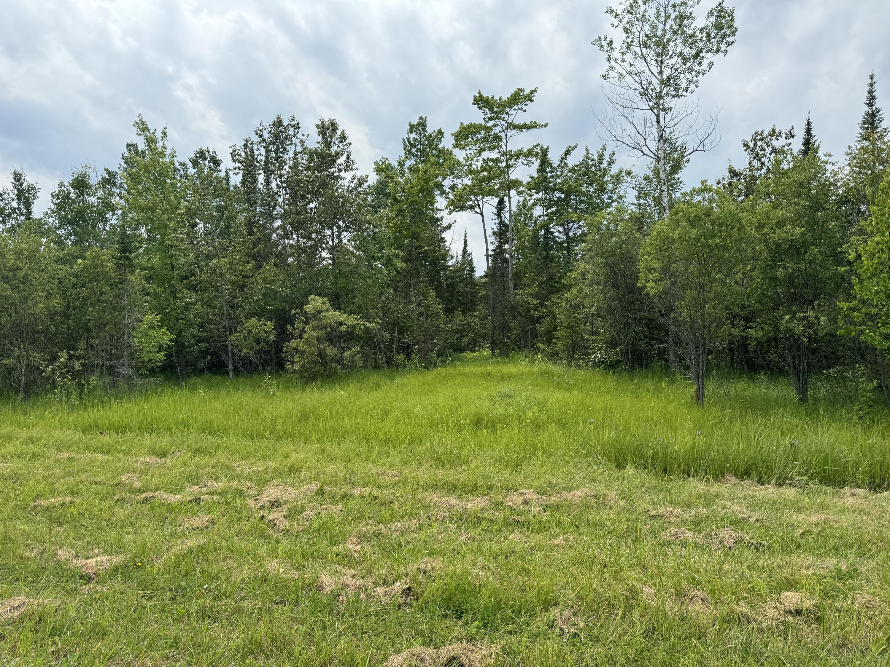 5030 Snider Road Brutus, MI 49716 - Photo 53 of 53 IMG_9672