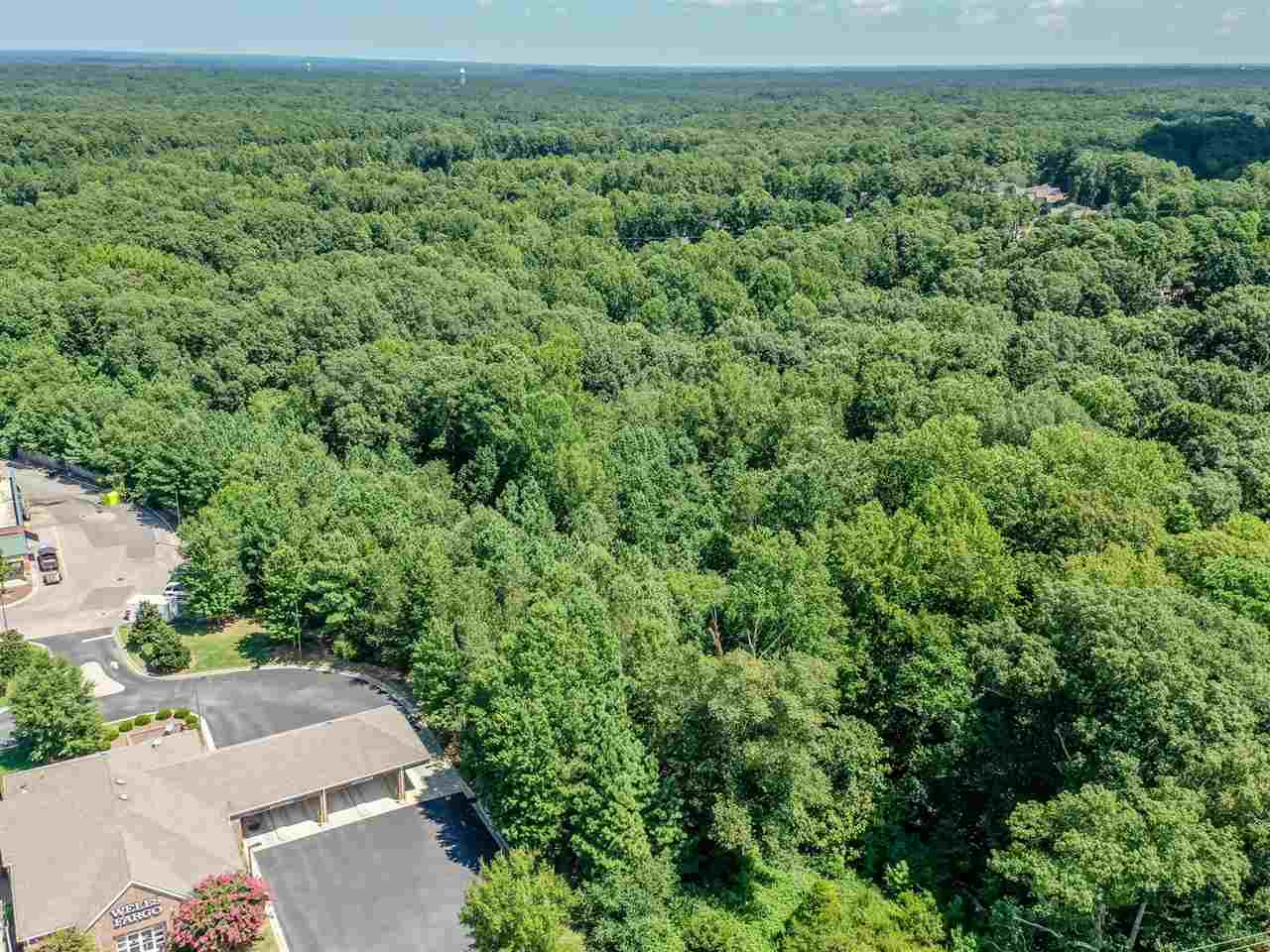 13120 Strickland Road Raleigh, NC 27613 - Photo 5 of 23 Photo 5