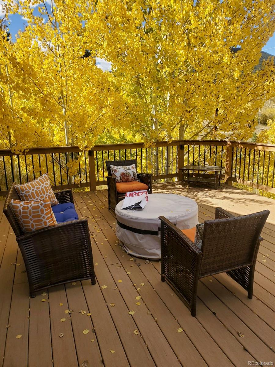 124 Prospectors Way Bailey, CO 80421 - Photo 3 of 40