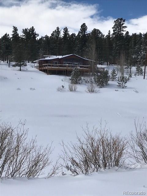 124 Prospectors Way Bailey, CO 80421 - Photo 4 of 40