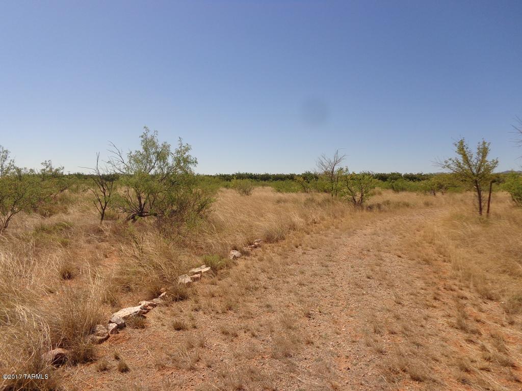 North Cochise Stronghold Road Cochise, AZ 85606 - Photo 8 of 10