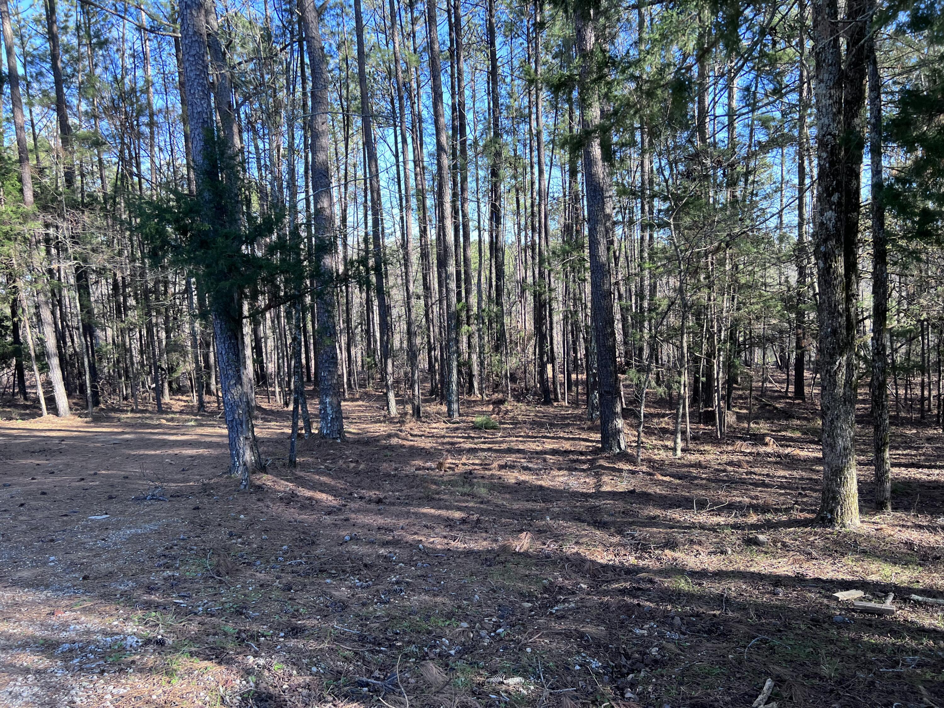 6197 Columbia Road Appling, GA 30802 - Photo 1 of 1 2.05 Acre lot on Columbia Road