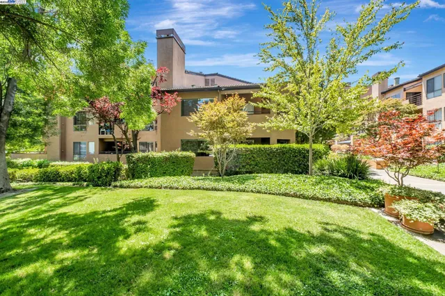 a view of a garden with a building in the background