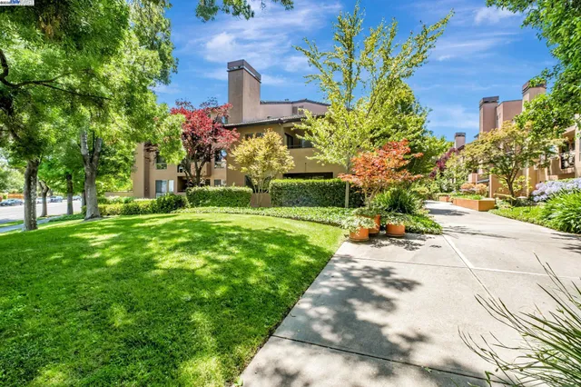 a view of a garden with a building in the background