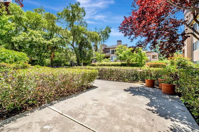 a view of a backyard with plants and a garden