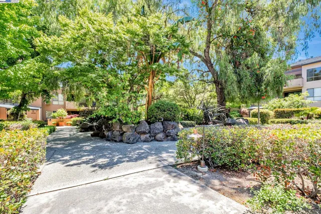 a view of backyard with outdoor seating and green space