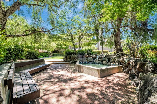 a view of a garden with plants and large trees