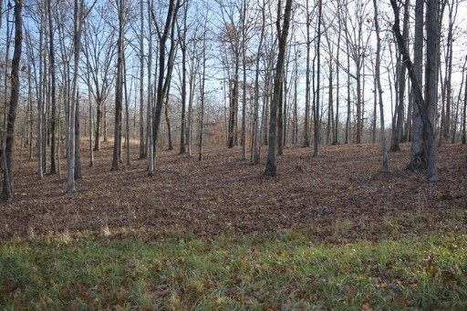 0 Ridgewood Dickson, TN 37055 - Photo 1 of 5 a view of backyard with green space