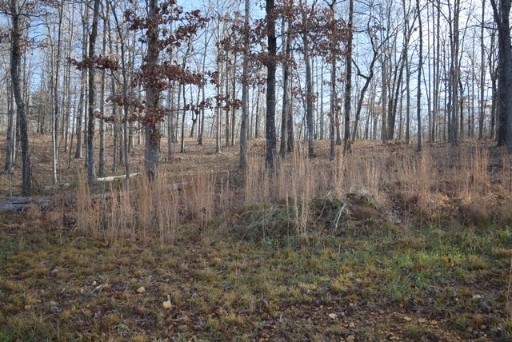 0 Ridgewood Dickson, TN 37055 - Photo 2 of 5 a view of bath room with trees