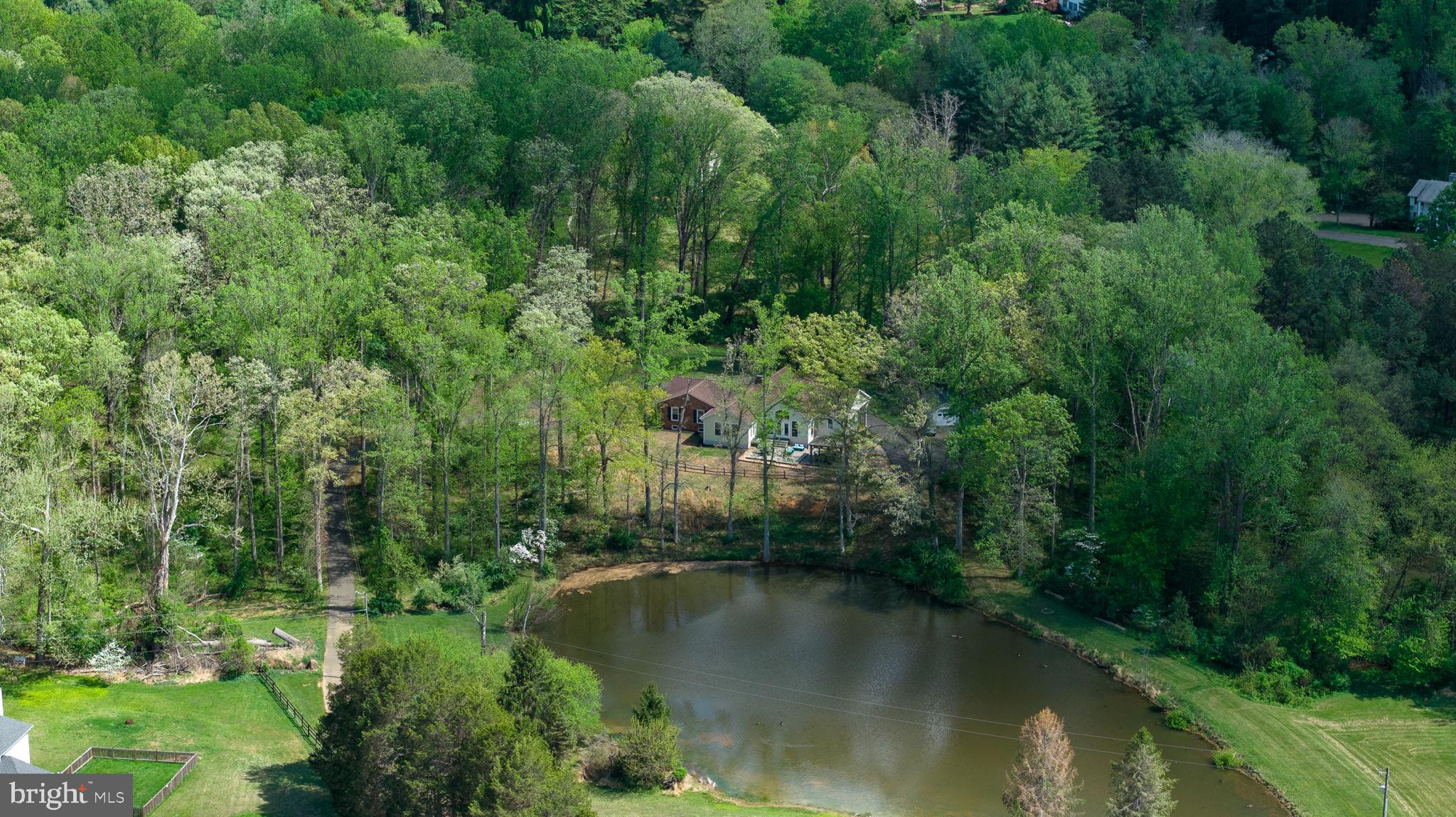 5699 Red Brick Road Warrenton, VA 20187 - Photo 32 of 35 Serene retreat by a tranquil pond.