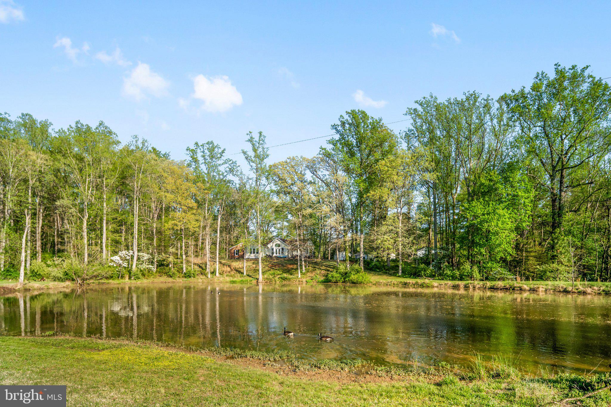 5699 Red Brick Road Warrenton, VA 20187 - Photo 7 of 35 Serene pond surrounded by lush trees.