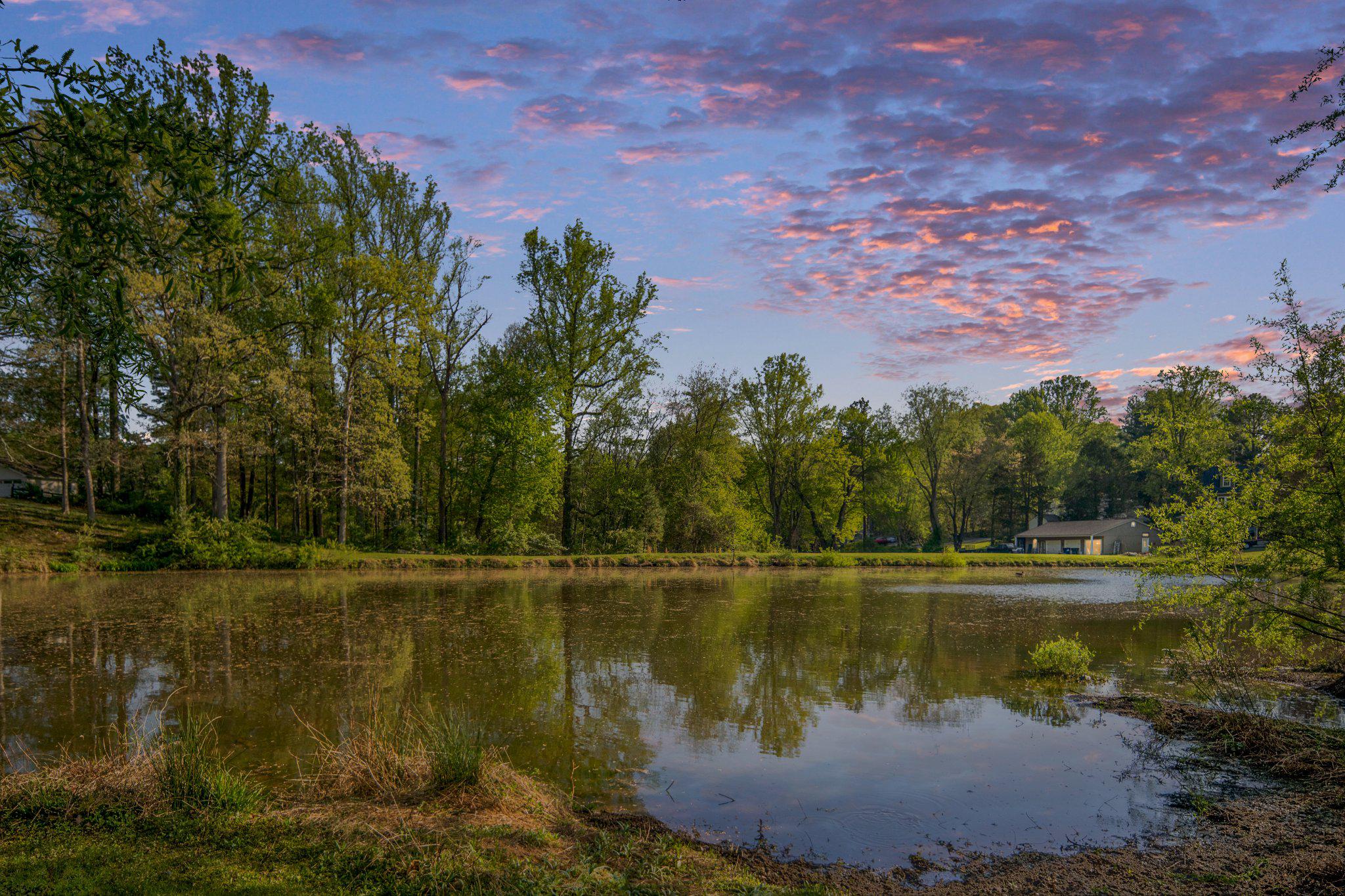 5699 Red Brick Road Warrenton, VA 20187 - Photo 9 of 35 Pond View
