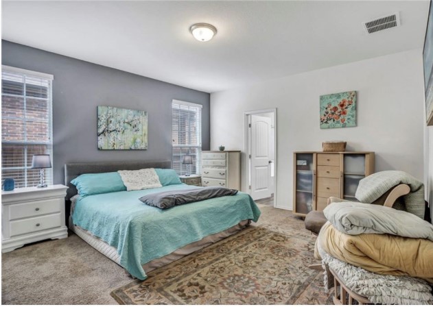 1428 Crested Butte Way Georgetown, TX 78626 - Photo 7 of 28 Bedroom with carpet