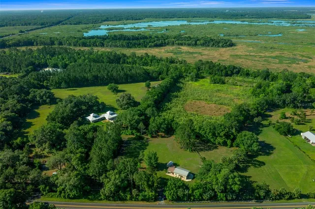 a view of a lush green space