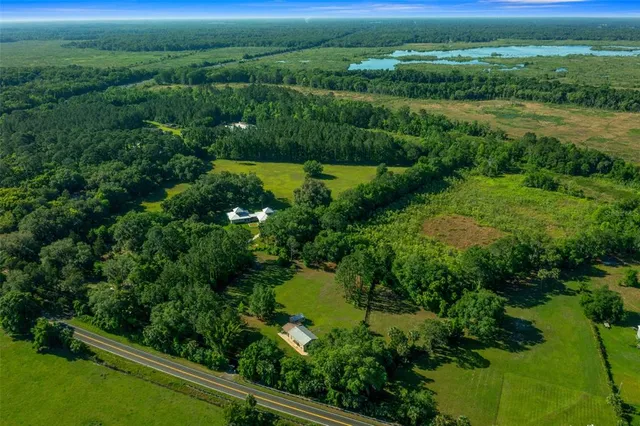 a view of a garden with lawn chairs and plants