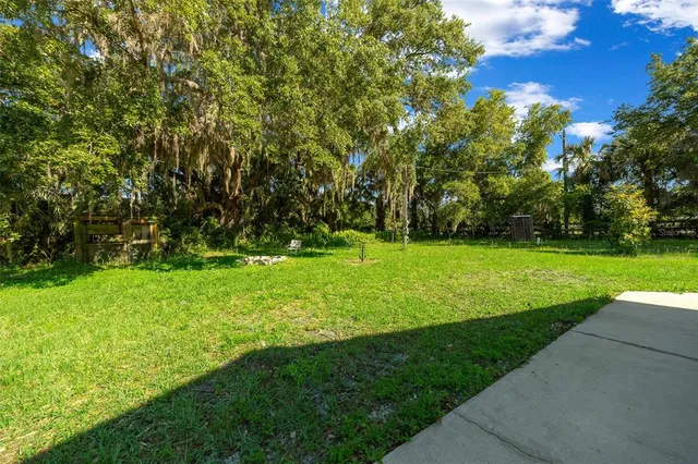 a view of field with tall trees