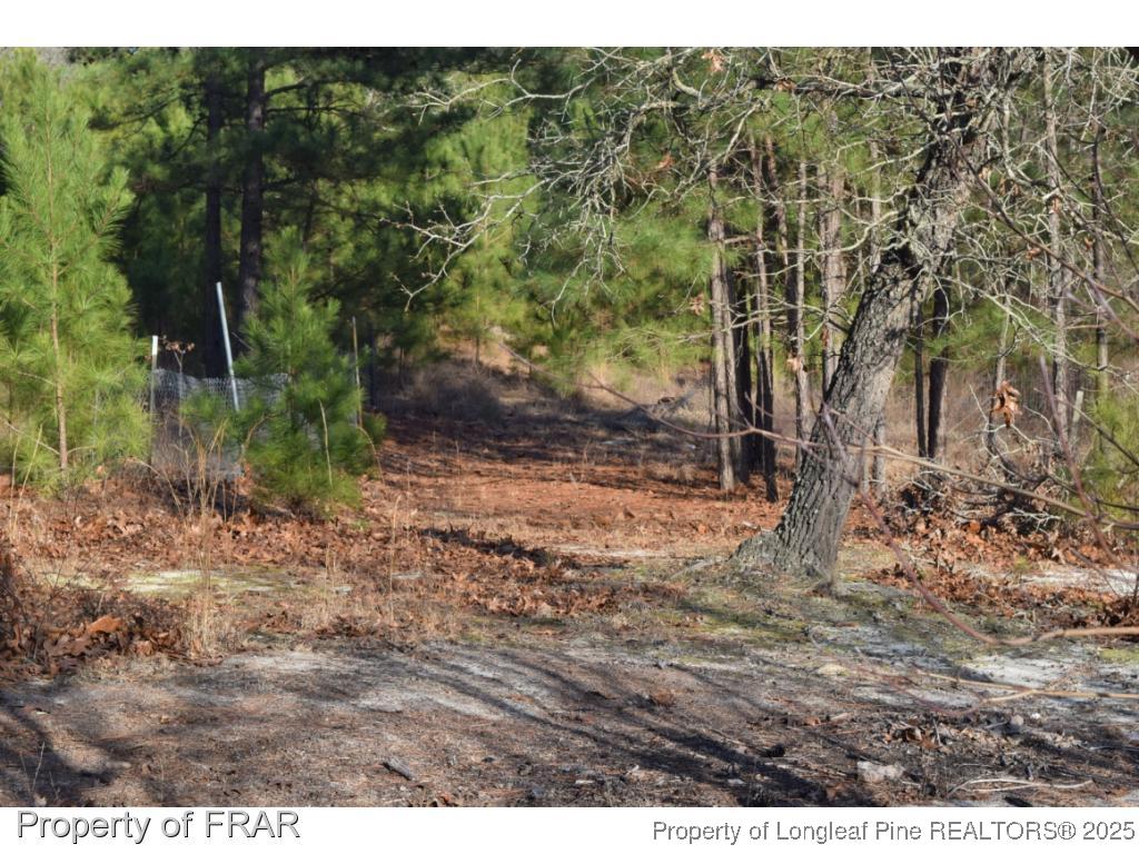 975 Line Road Cameron, NC 28326 - Photo 11 of 15