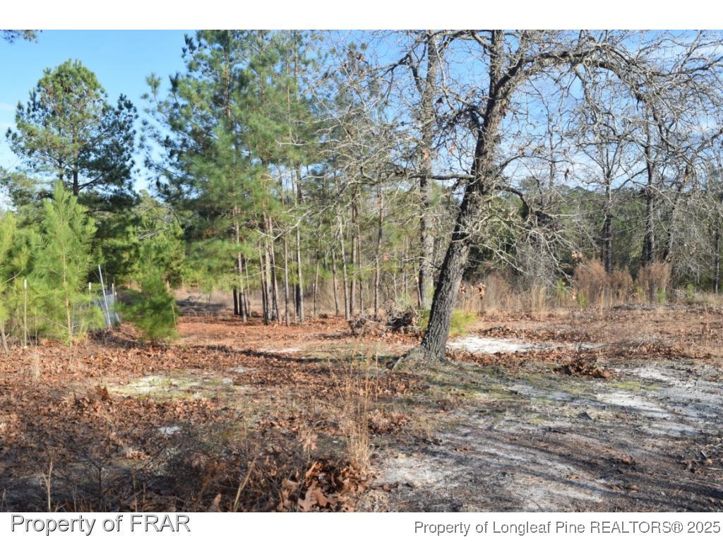 975 Line Road Cameron, NC 28326 - Photo 12 of 15