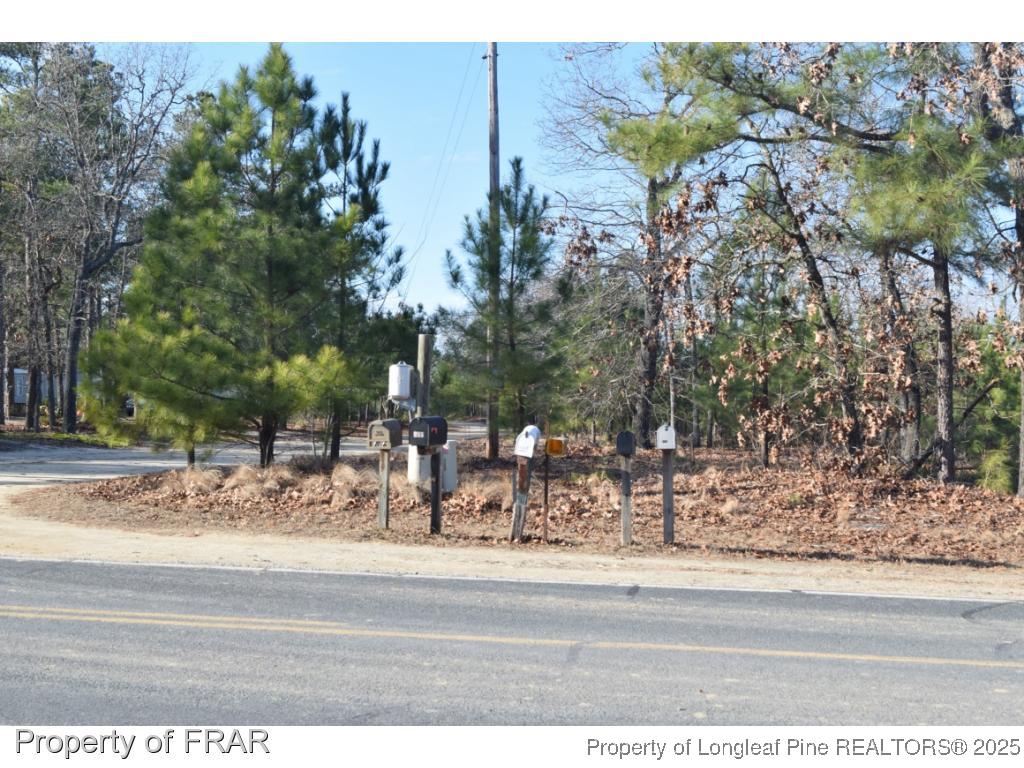 975 Line Road Cameron, NC 28326 - Photo 7 of 15