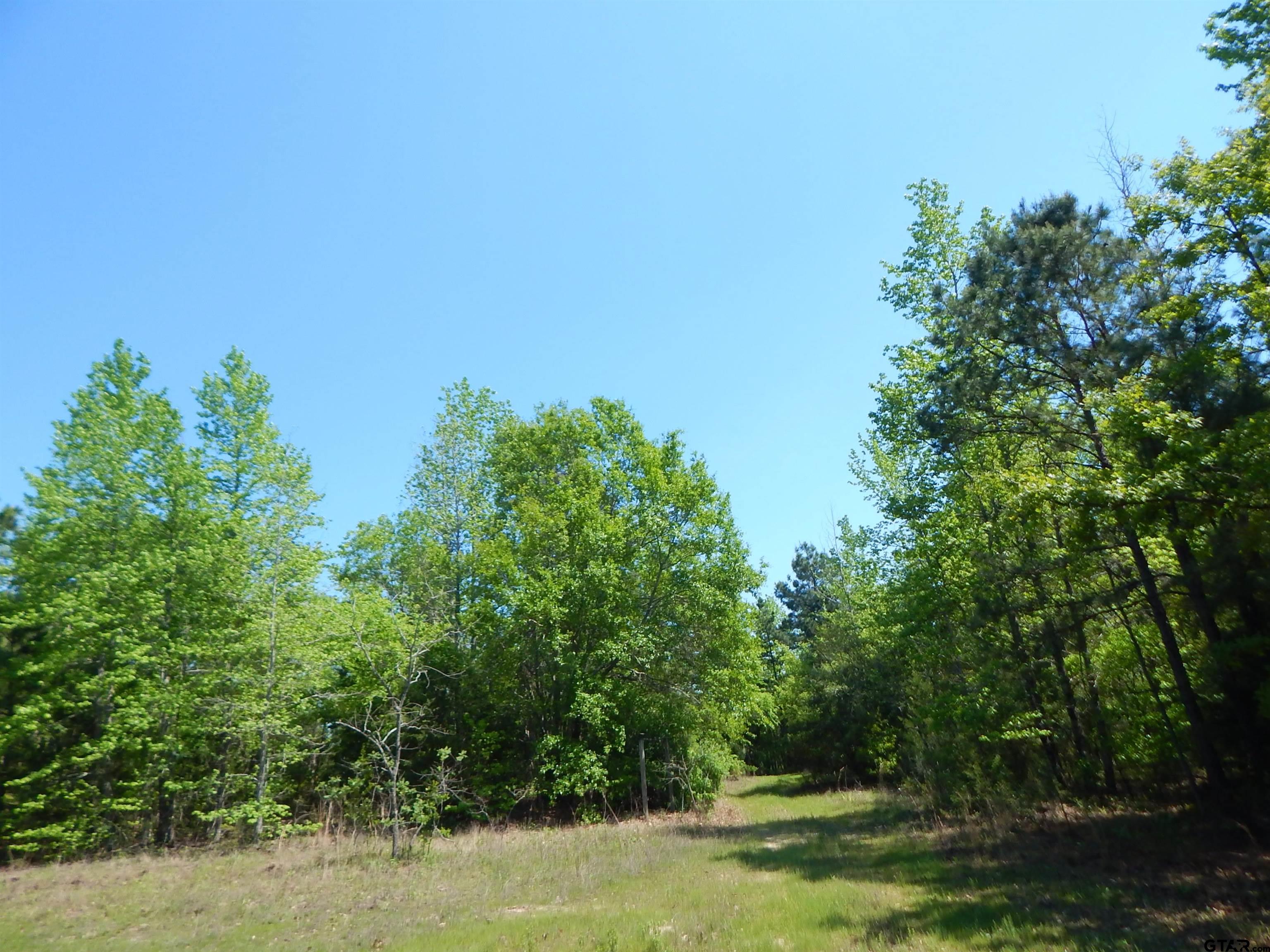 15 Acres Fm 1795 Big Sandy, TX 75755 - Photo 11 of 15