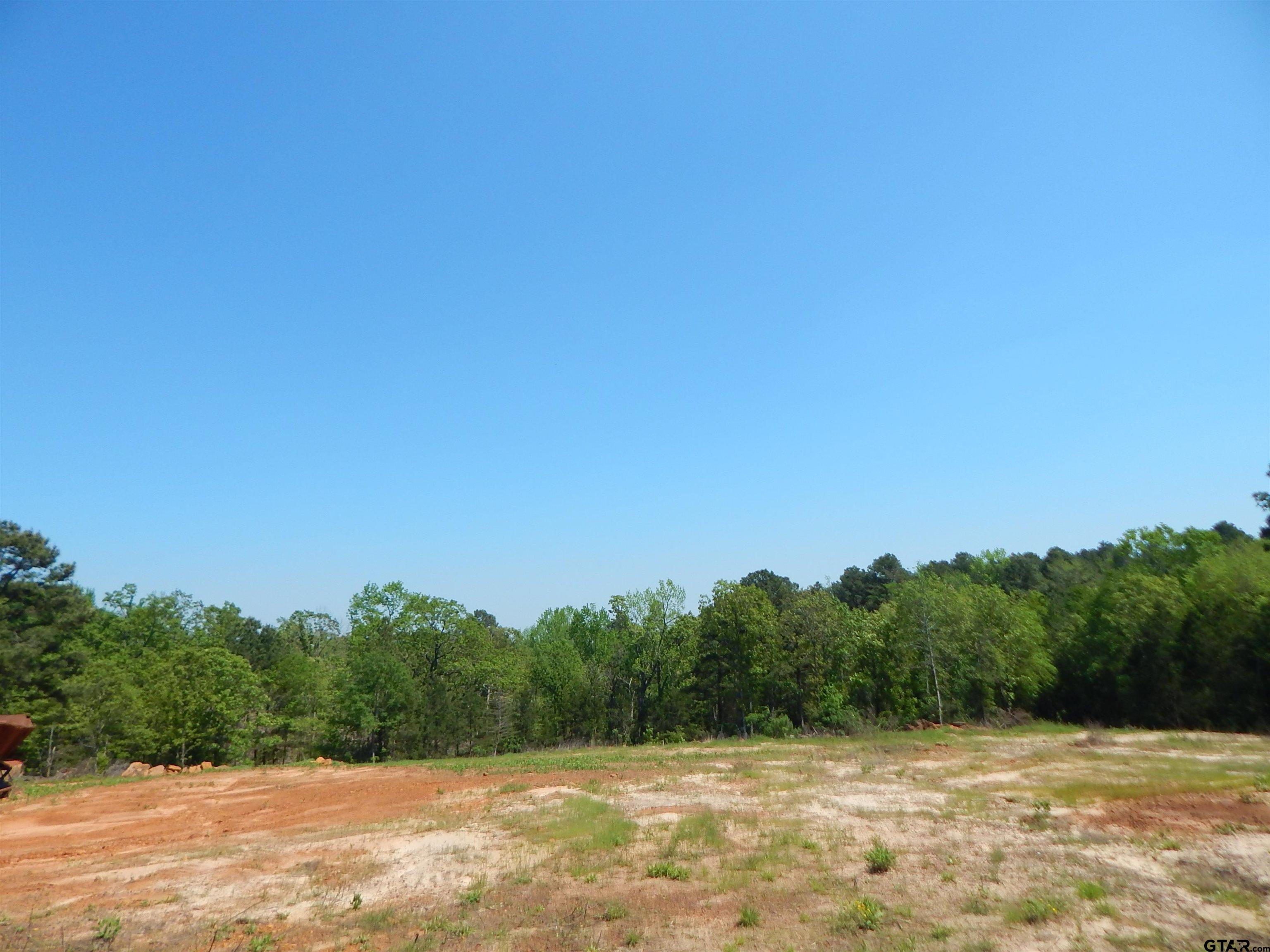 15 Acres Fm 1795 Big Sandy, TX 75755 - Photo 13 of 15