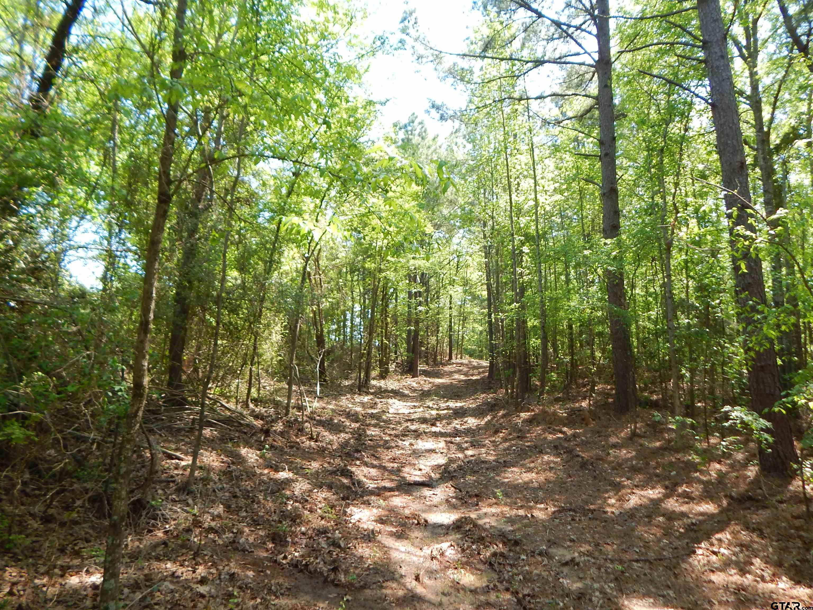 15 Acres Fm 1795 Big Sandy, TX 75755 - Photo 2 of 15