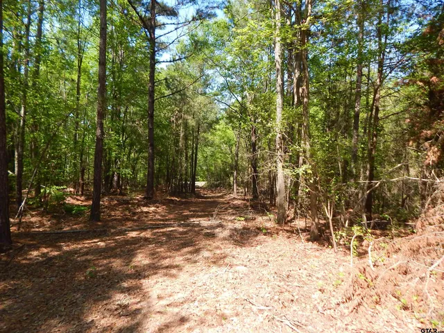 $187,500 | 15 Acres Fm 1795, Big Sandy, TX 75755