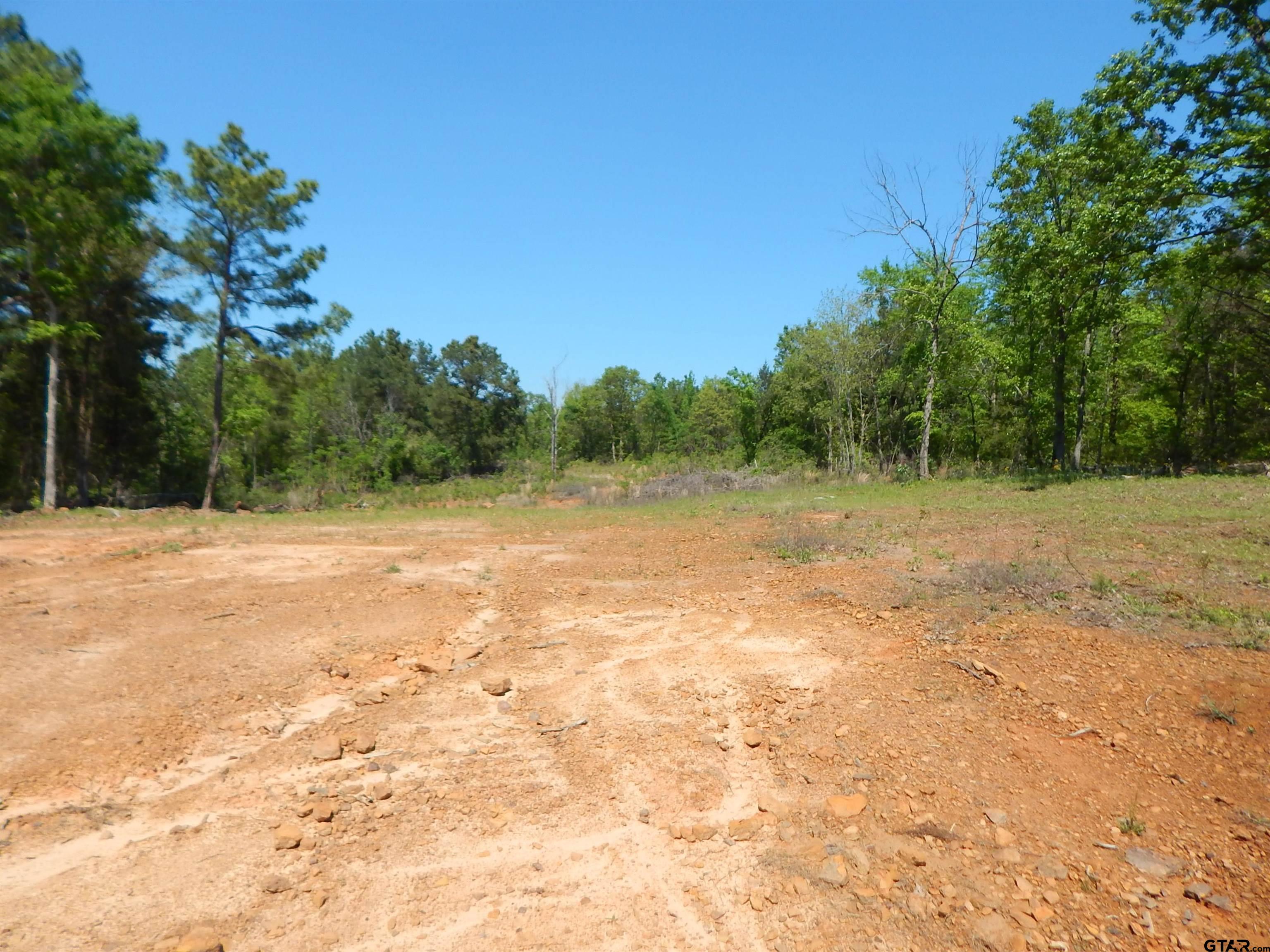 15 Acres Fm 1795 Big Sandy, TX 75755 - Photo 8 of 15