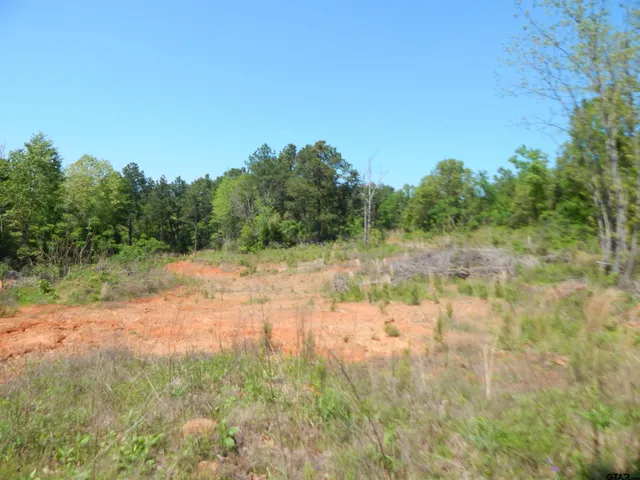 $187,500 | 15 Acres Fm 1795, Big Sandy, TX 75755
