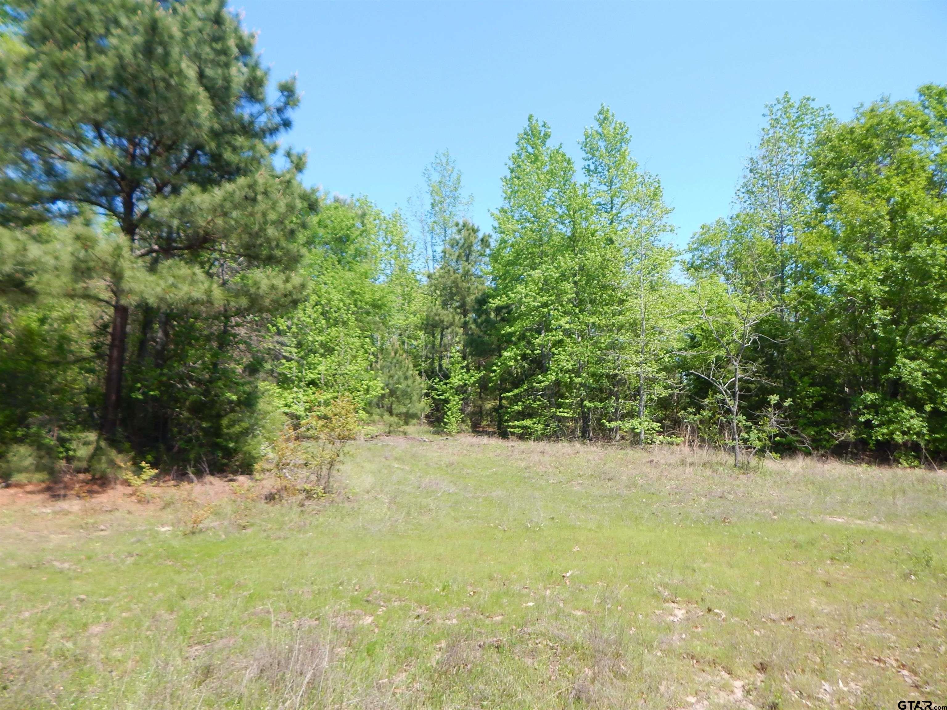 15 Acres Fm 1795 Big Sandy, TX 75755 - Photo 10 of 15