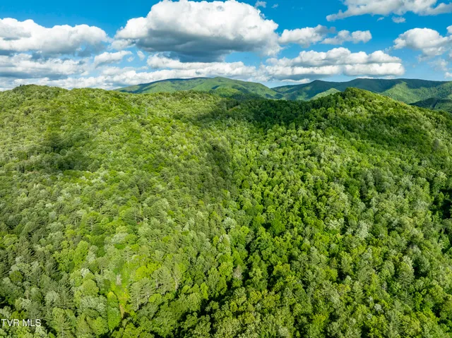 $149,900 | Tbd Blaine White Road, Erwin, TN 37650
