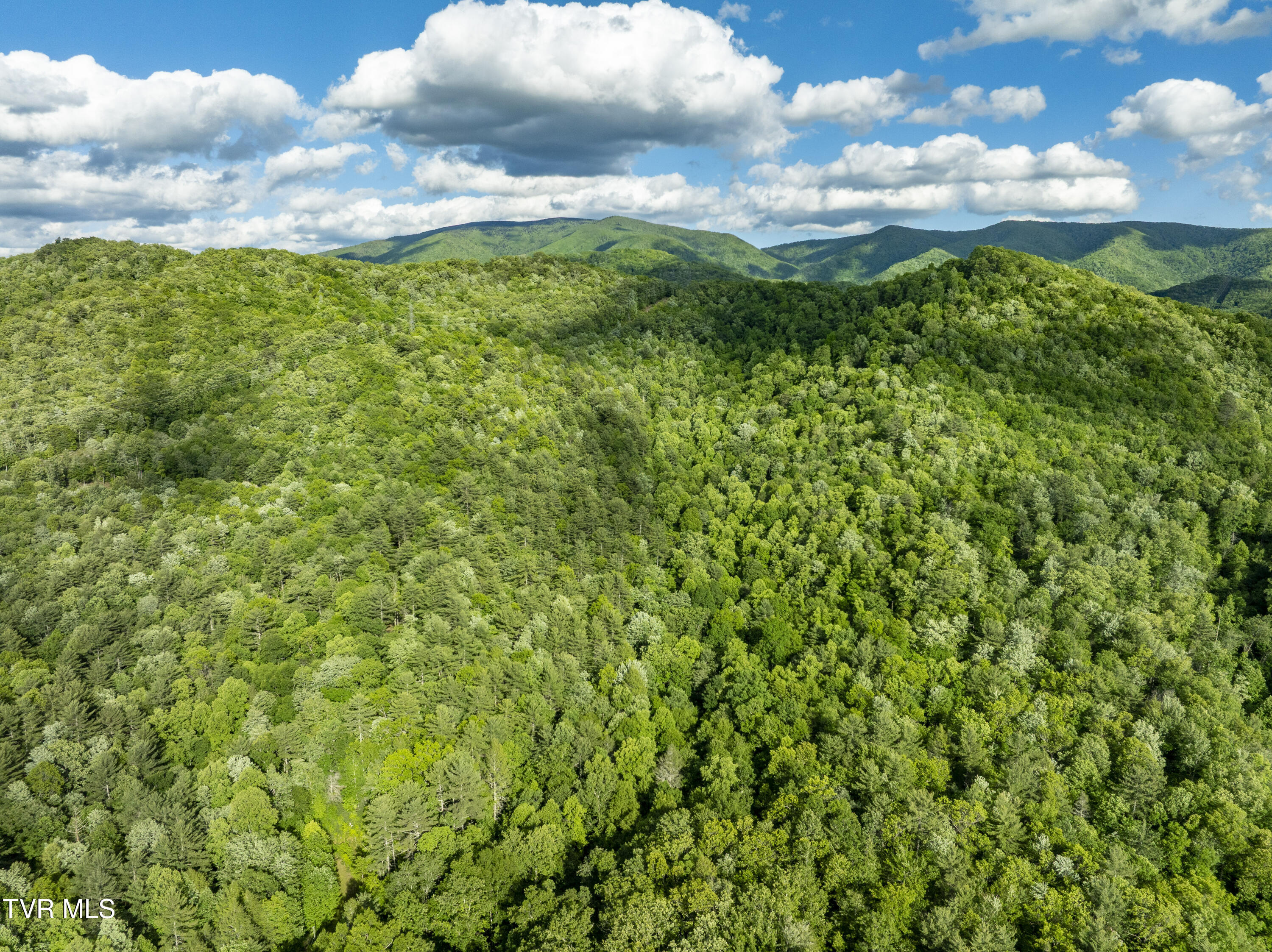 Tbd Blaine White Road Erwin, TN 37650 - Photo 11 of 20 NortonHollow-21