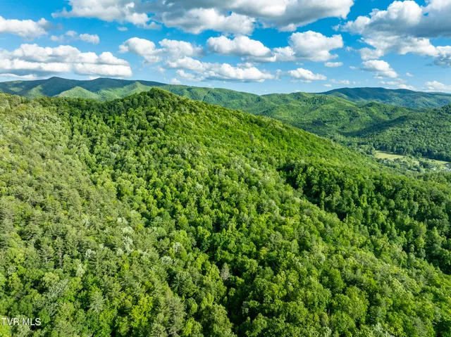 $149,900 | Tbd Blaine White Road, Erwin, TN 37650