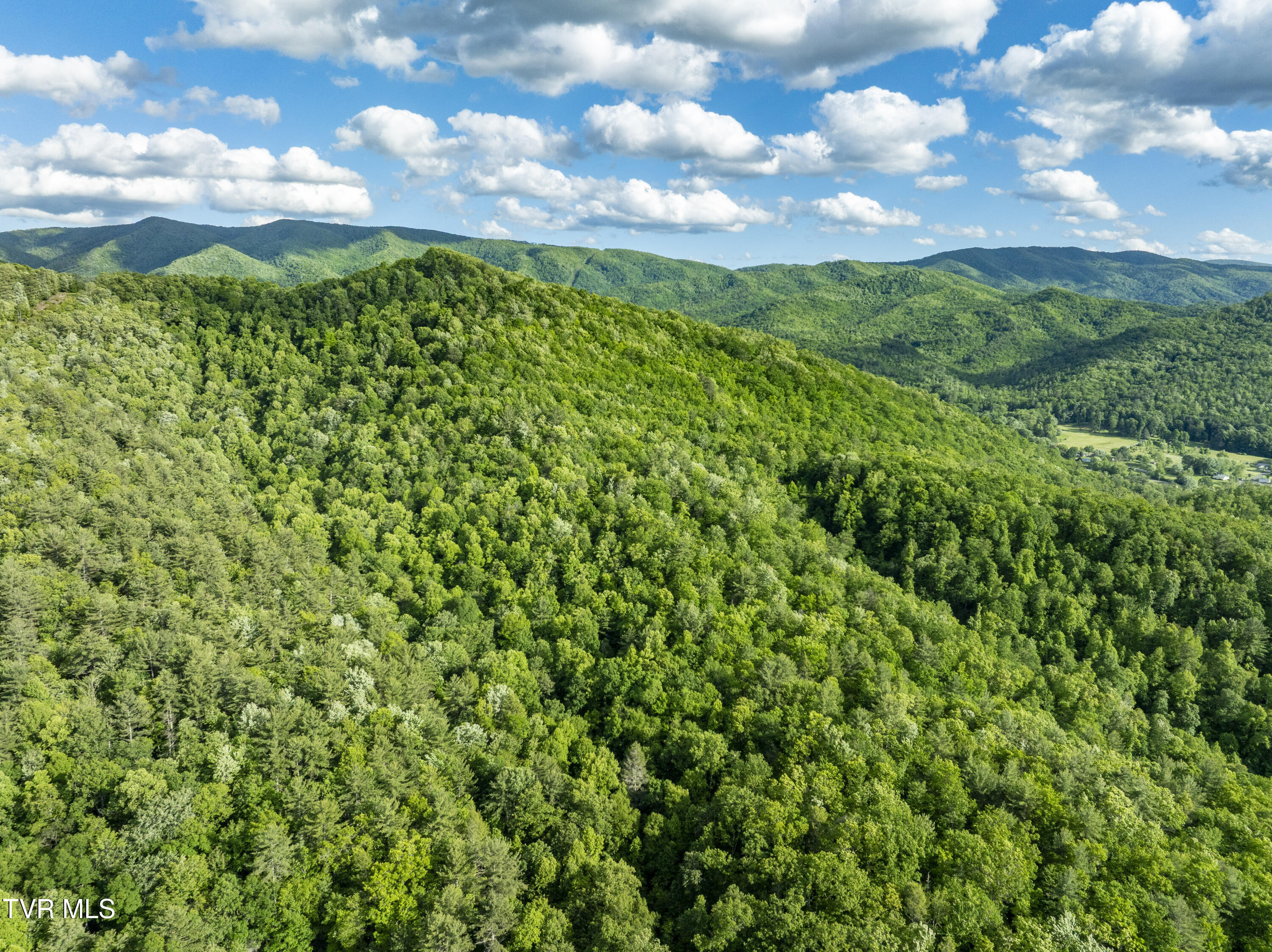 Tbd Blaine White Road Erwin, TN 37650 - Photo 12 of 20 NortonHollow-22