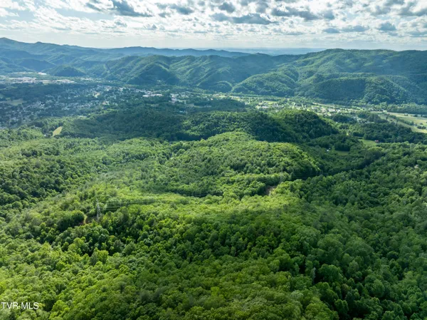 $149,900 | Tbd Blaine White Road, Erwin, TN 37650