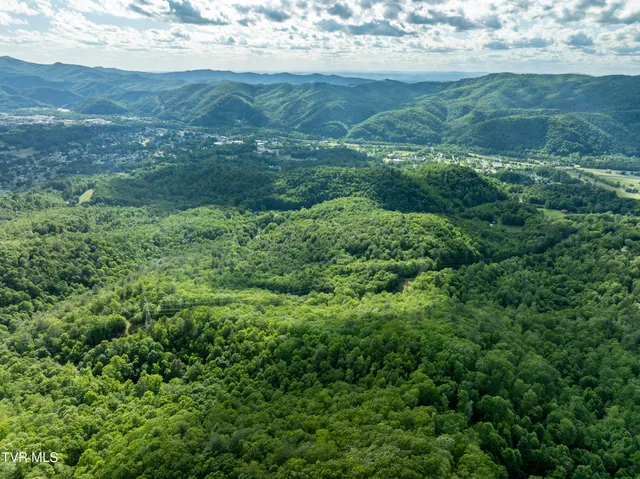 $149,900 | Tbd Blaine White Road, Erwin, TN 37650