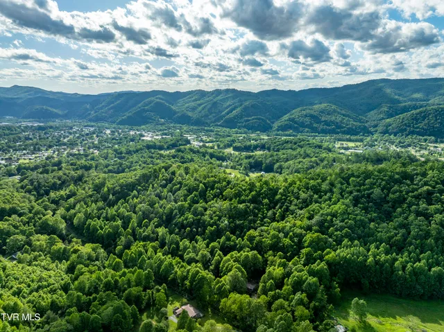 $149,900 | Tbd Blaine White Road, Erwin, TN 37650