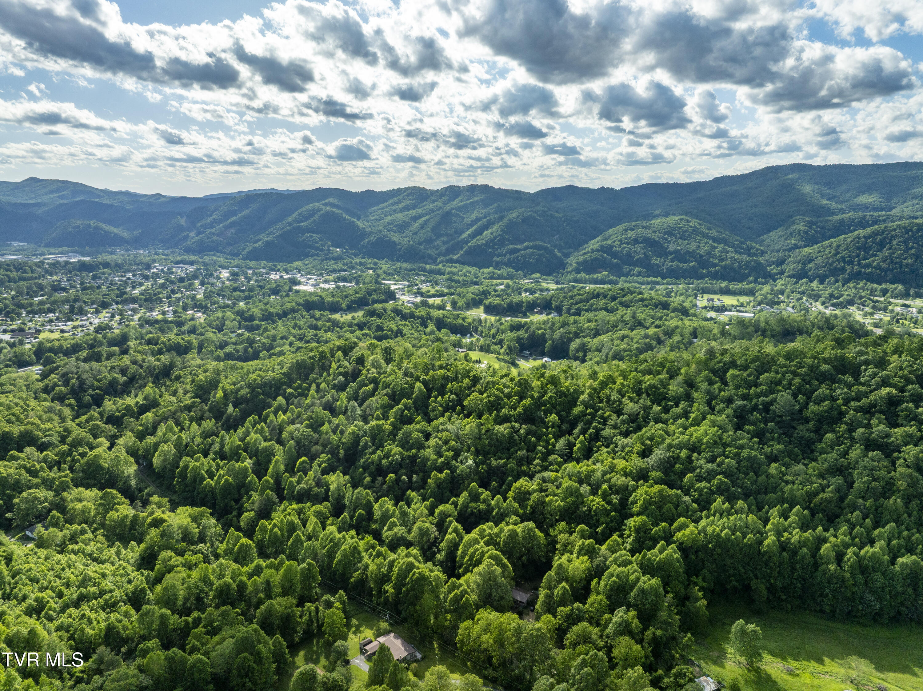 Tbd Blaine White Road Erwin, TN 37650 - Photo 15 of 20 NortonHollow-19