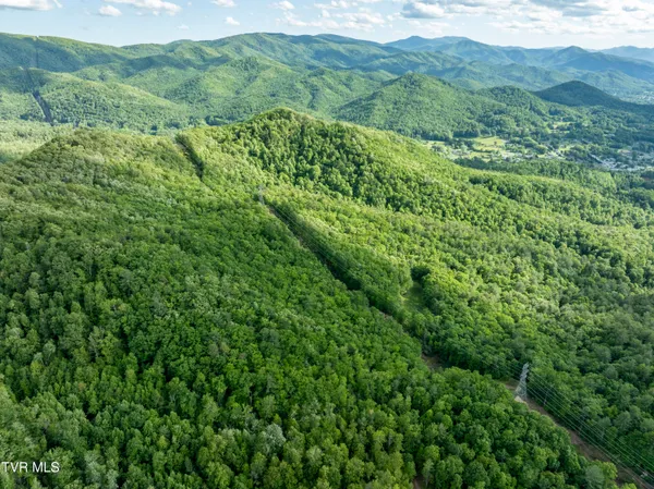 $149,900 | Tbd Blaine White Road, Erwin, TN 37650