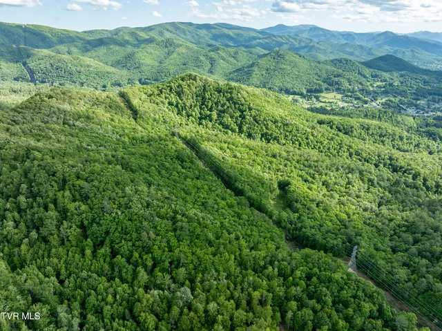 $149,900 | Tbd Blaine White Road, Erwin, TN 37650