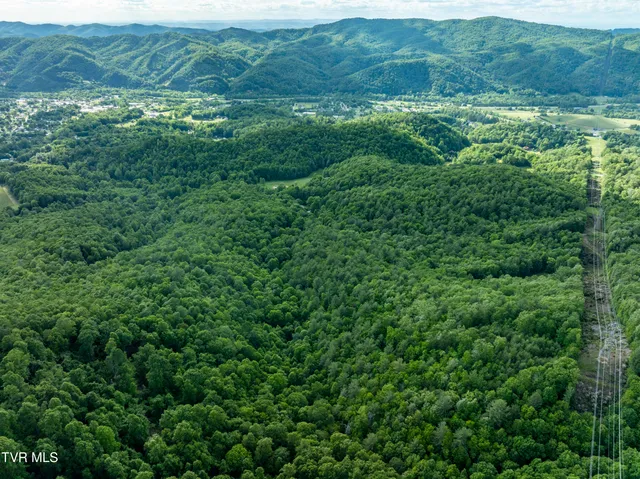 $149,900 | Tbd Blaine White Road, Erwin, TN 37650