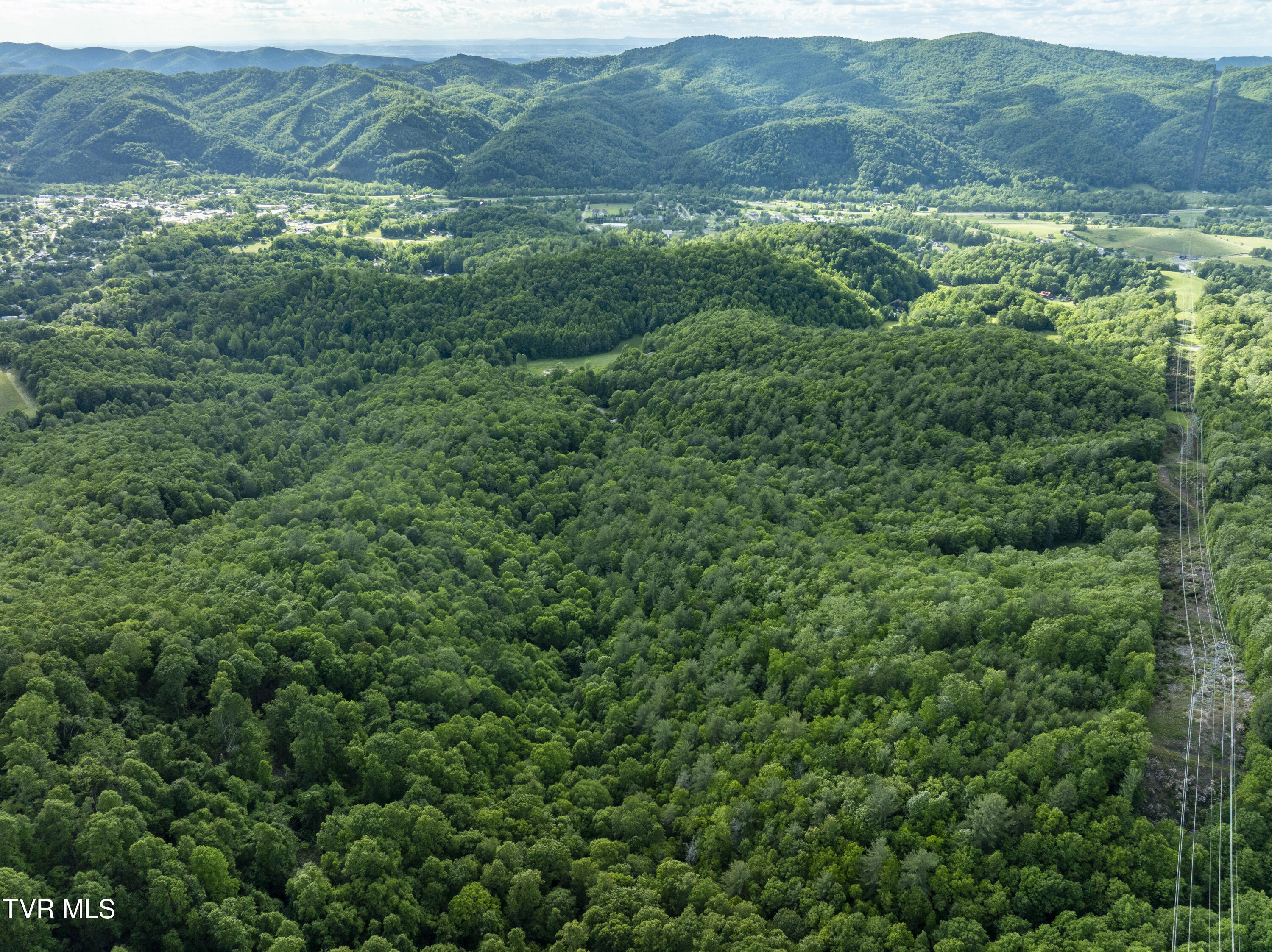 Tbd Blaine White Road Erwin, TN 37650 - Photo 20 of 20 NortonHollow-8